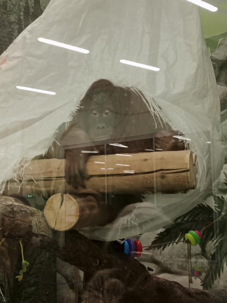 W0Sq2rDMstPUbmEtnvjGdotEKahLyV7WY-sc8HFGIU4u3VpG51JpexVKtehRkT9LS6vcYyEOVYCZK2wBu7b4cxU