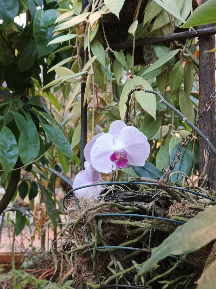 KcrMAcSHCeeZiyBjRp6UCOy4PdDPB80HBtb8g-2PGjDEh6vSz6Ml47g0UqzC7Ww8ZY5uVpUMfaePYjDLnUGaty