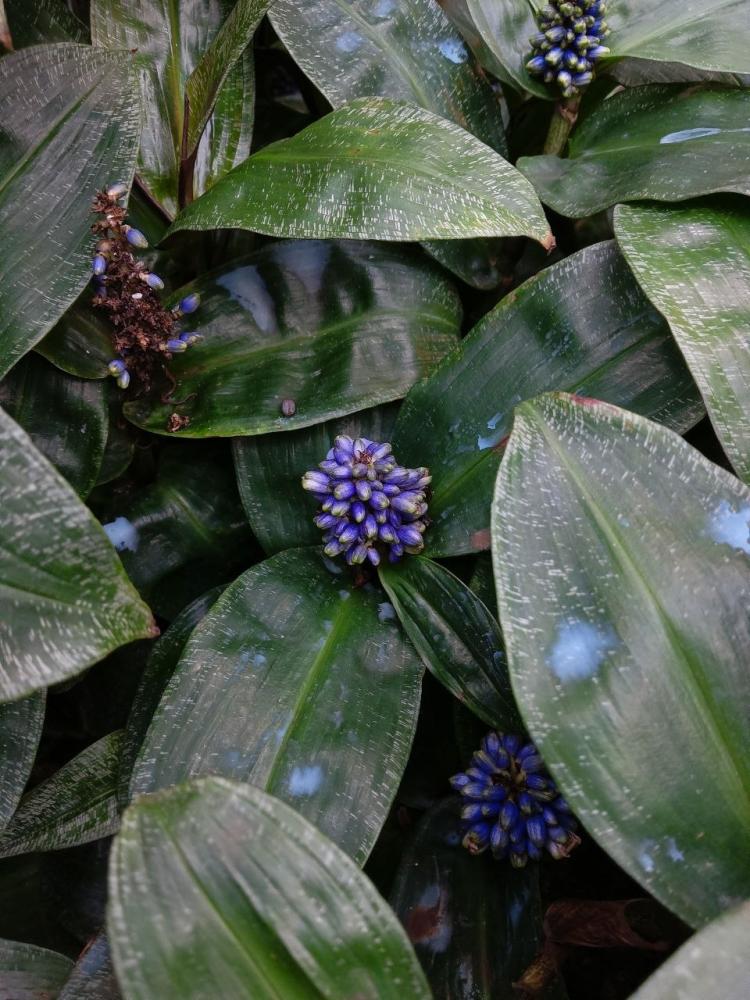 v05SLbkfLUddNw8xJrv8vSZ8jLa64ryv9-EjrRm9IkSrBjXpXVVF2wcoXqdkKs8O-6k3kjw7s4C-5WCh36Y9